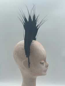Black feather Crown