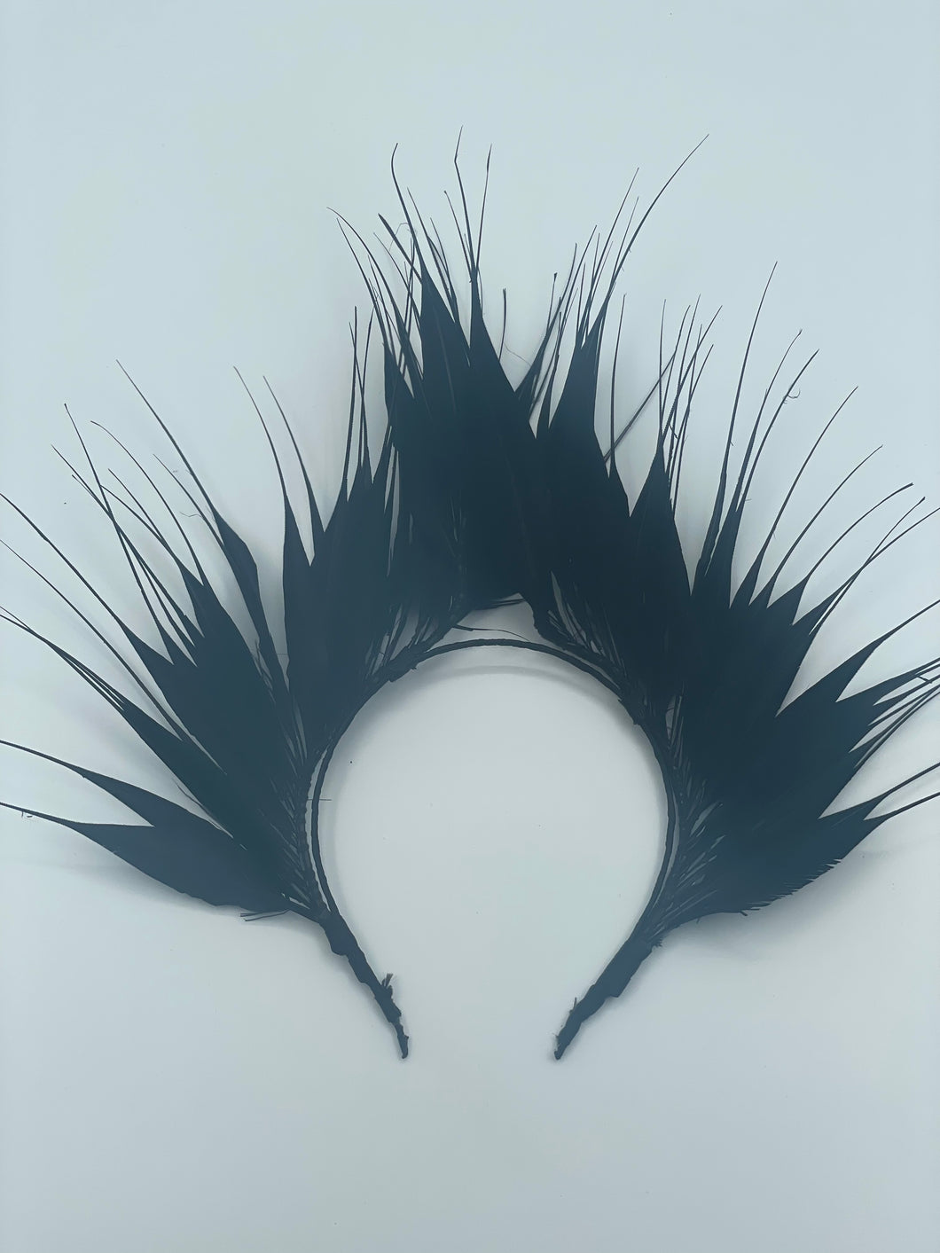 Black feather Crown